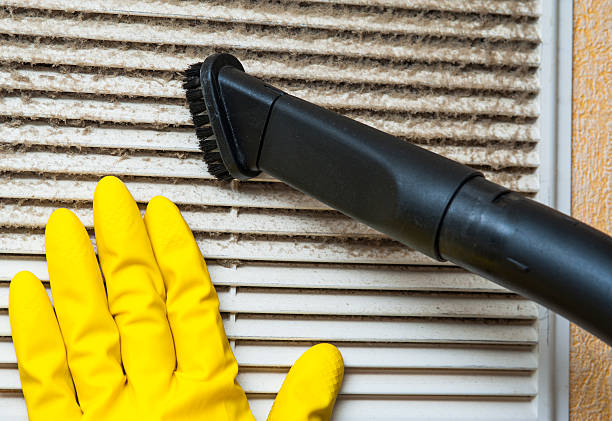Best Air Vent Cleaning Services  in Greenup, IL
